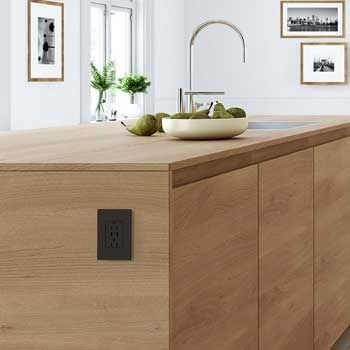 Adorne Dual USB‑A + Duplex Outlet (Plus‑Size, 15A)