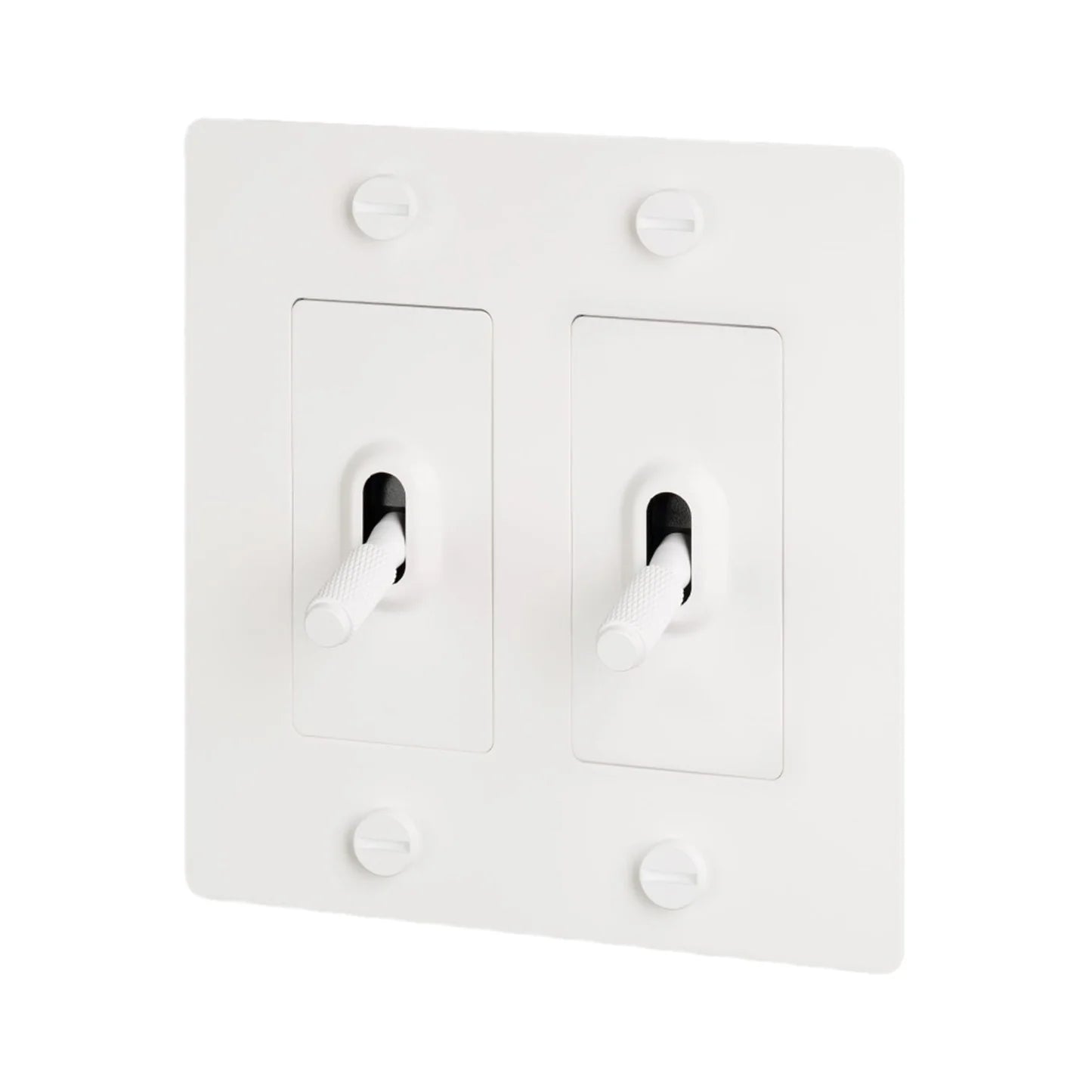 Buster + Punch Steel 2 Gang Toggle Switch