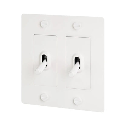 Buster + Punch Steel 2 Gang Toggle Switch