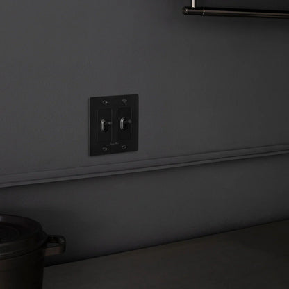 Buster + Punch Steel 2 Gang Toggle Switch